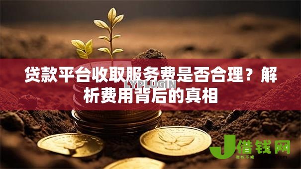 贷款平台收取服务费是否合理?解析费用背后的真相 贷款平台收取服务费是否合理?解析费用背后的真相