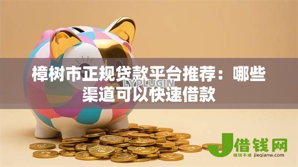 樟树市正规贷款平台推荐：哪些渠道可以快速借款