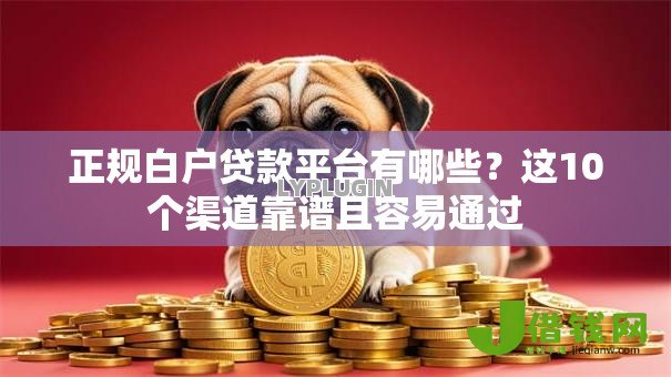正规白户贷款平台有哪些？这10个渠道靠谱且容易通过