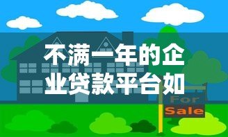 不满一年的企业贷款平台如何选?新平台风险与机遇全解析 不满一年的企业贷款平台如何选?新平台风险与机遇全解析