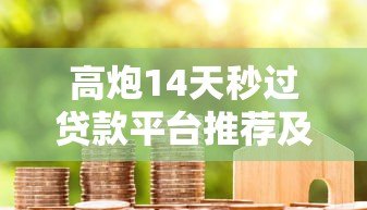 高炮14天秒过贷款平台推荐及申请攻略