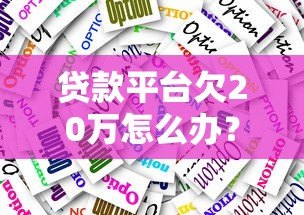 贷款平台欠20万怎么办？真实应对策略与还款指南