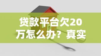 贷款平台欠20万怎么办？真实应对策略与还款指南