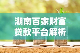 湖南百家财富贷款平台解析：正规渠道与申请攻略