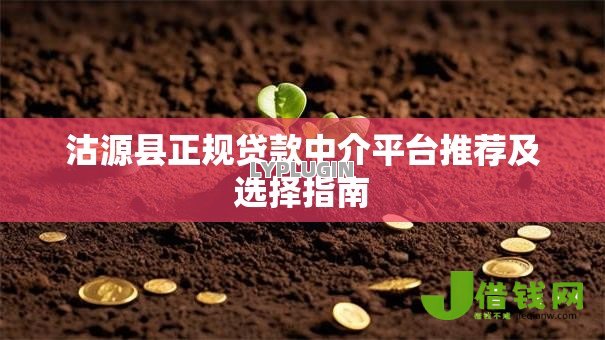 沽源县正规贷款中介平台推荐及选择指南