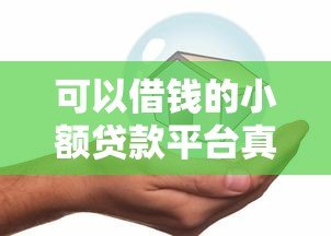 可以借钱的小额贷款平台真的安全吗?实测解析 可以借钱的小额贷款平台真的安全吗?实测解析