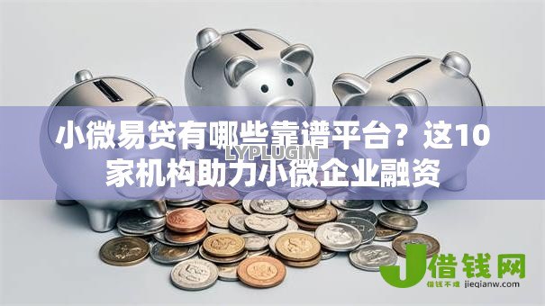 小微易贷有哪些靠谱平台?这10家机构助力小微企业融资 小微易贷有哪些靠谱平台?这10家机构助力小微企业融资