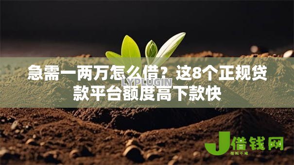 急需一两万怎么借?这8个正规贷款平台额度高下款快 急需一两万怎么借?这8个正规贷款平台额度高下款快