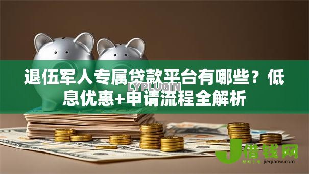 退伍军人专属贷款平台有哪些？低息优惠+申请流程全解析
