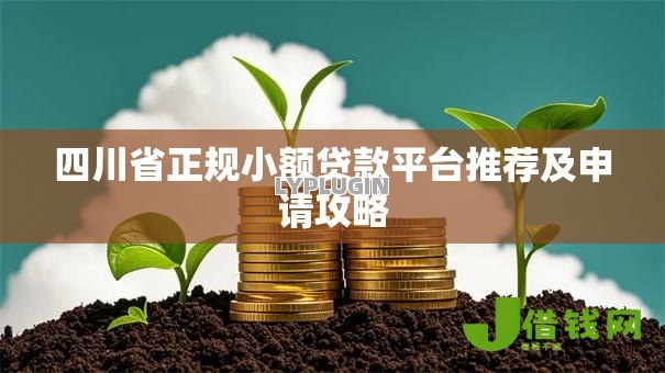 四川省正规小额贷款平台推荐及申请攻略 四川省正规小额贷款平台推荐及申请攻略