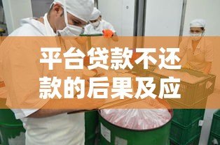 平台贷款不还款的后果及应对方法全解析