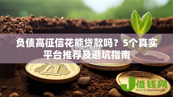 负债高征信花能贷款吗？5个真实平台推荐及避坑指南