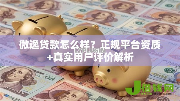 微逸贷款怎么样？正规平台资质+真实用户评价解析