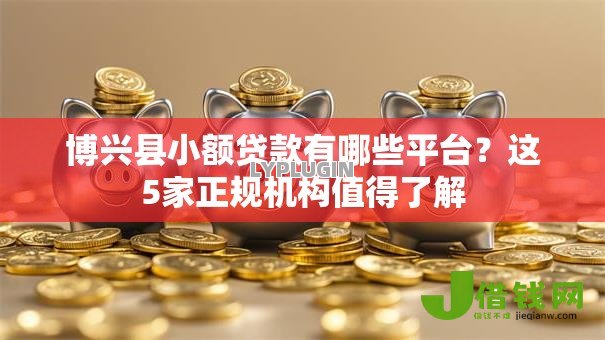 博兴县小额贷款有哪些平台?这5家正规机构值得了解 博兴县小额贷款有哪些平台?这5家正规机构值得了解