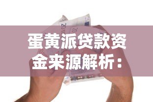 蛋黄派贷款资金来源解析：平台资金还是第三方合作？