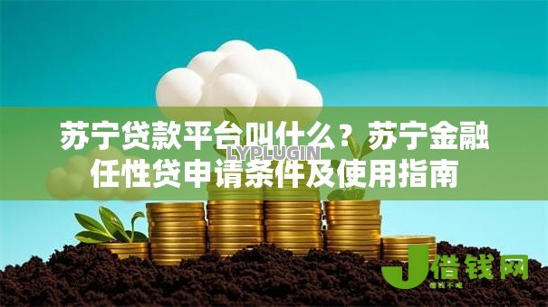 苏宁贷款平台叫什么？苏宁金融任性贷申请条件及使用指南