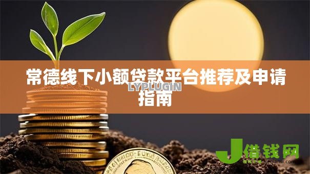 常德线下小额贷款平台推荐及申请指南
