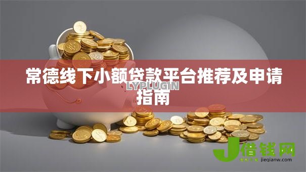 常德线下小额贷款平台推荐及申请指南