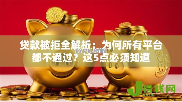 贷款被拒全解析：为何所有平台都不通过？这5点必须知道