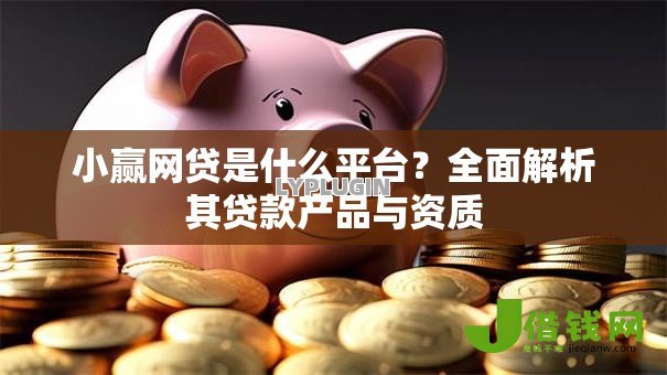小赢网贷是什么平台？全面解析其贷款产品与资质