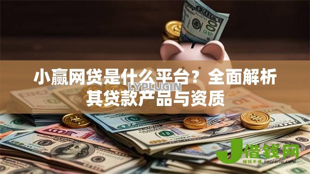 小赢网贷是什么平台？全面解析其贷款产品与资质
