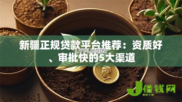 新疆正规贷款平台推荐:资质好、审批快的5大渠道 新疆正规贷款平台推荐:资质好、审批快的5大渠道