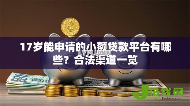 17岁能申请的小额贷款平台有哪些?合法渠道一览 17岁能申请的小额贷款平台有哪些?合法渠道一览