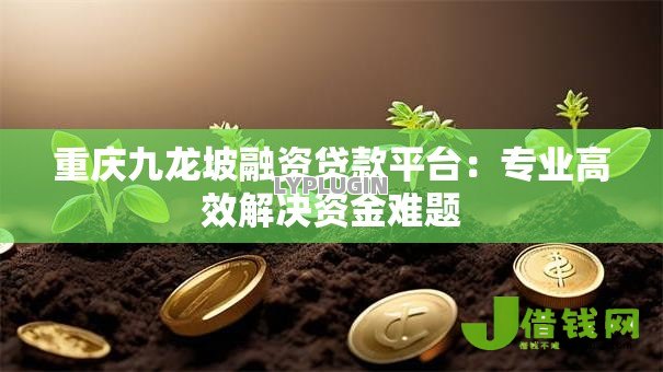重庆九龙坡融资贷款平台:专业高效解决资金难题 重庆九龙坡融资贷款平台:专业高效解决资金难题