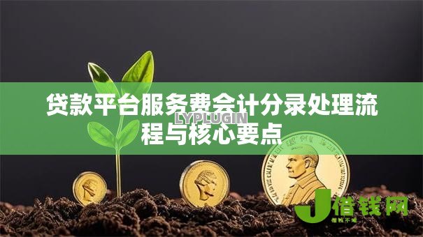 贷款平台服务费会计分录处理流程与核心要点