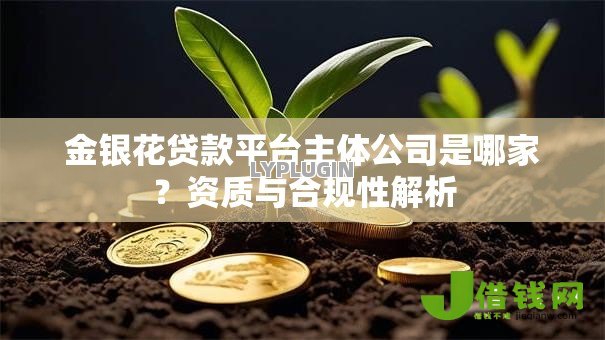 金银花贷款平台主体公司是哪家？资质与合规性解析