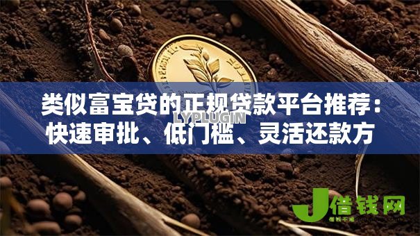 类似富宝贷的正规贷款平台推荐：快速审批、低门槛、灵活还款方案