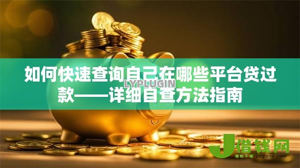 如何快速查询自己在哪些平台贷过款——详细自查方法指南