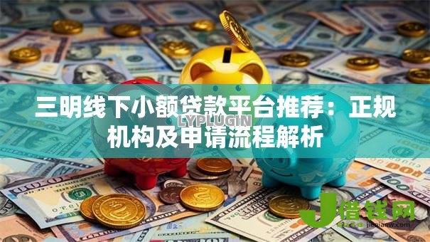 三明线下小额贷款平台推荐：正规机构及申请流程解析