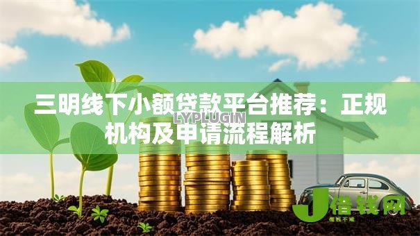 三明线下小额贷款平台推荐：正规机构及申请流程解析