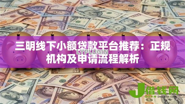 三明线下小额贷款平台推荐：正规机构及申请流程解析