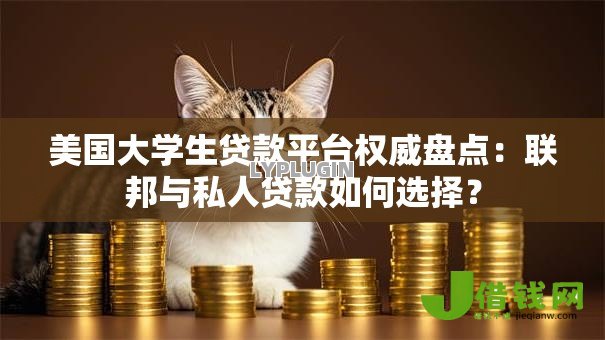 美国大学生贷款平台权威盘点：联邦与私人贷款如何选择？