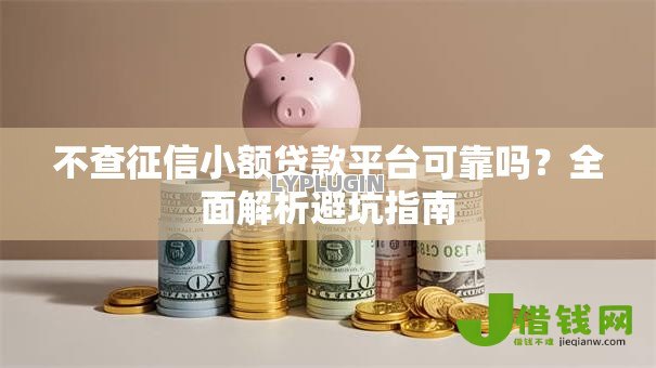 不查征信小额贷款平台可靠吗？全面解析避坑指南