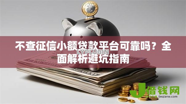 不查征信小额贷款平台可靠吗？全面解析避坑指南