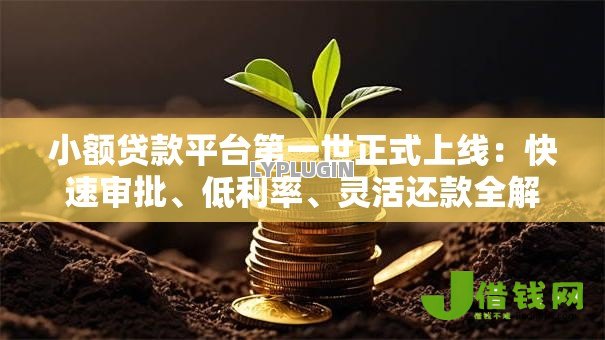 小额贷款平台第一世正式上线:快速审批、低利率、灵活还款全解析 小额贷款平台第一世正式上线:快速审批、低利率、灵活还款全解析