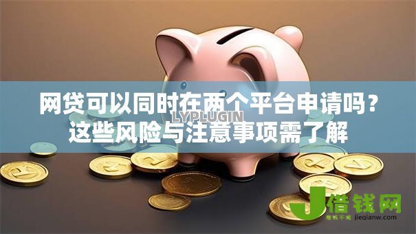 网贷可以同时在两个平台申请吗？这些风险与注意事项需了解