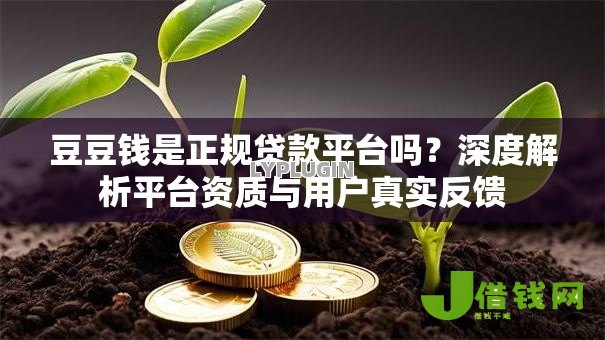 豆豆钱是正规贷款平台吗？深度解析平台资质与用户真实反馈