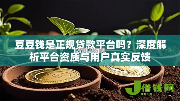 豆豆钱是正规贷款平台吗？深度解析平台资质与用户真实反馈