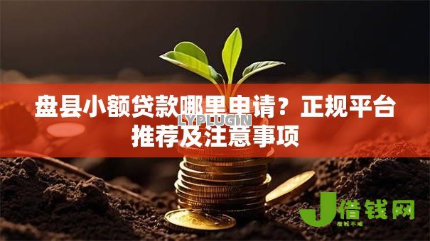 盘县小额贷款哪里申请？正规平台推荐及注意事项