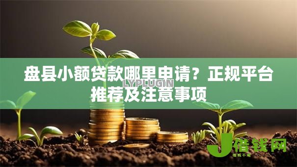 盘县小额贷款哪里申请？正规平台推荐及注意事项