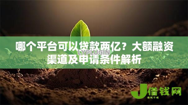 哪个平台可以贷款两亿？大额融资渠道及申请条件解析
