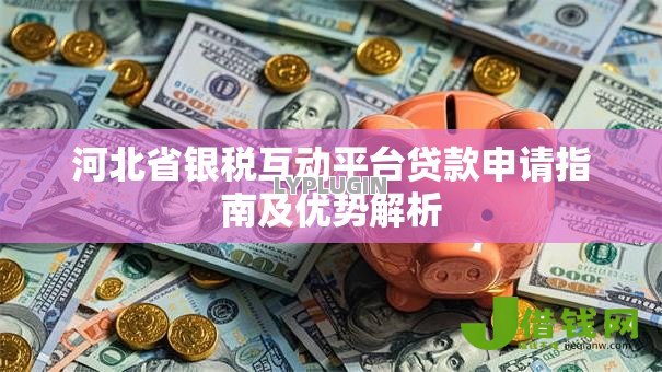 河北省银税互动平台贷款申请指南及优势解析