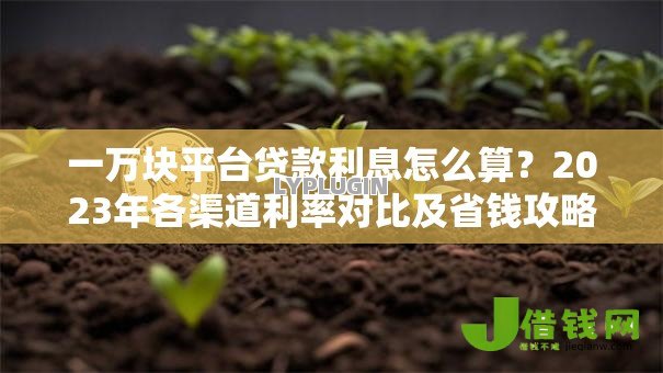 一万块平台贷款利息怎么算？2023年各渠道利率对比及省钱攻略