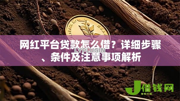 网红平台贷款怎么借？详细步骤、条件及注意事项解析