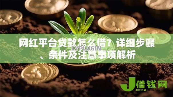 网红平台贷款怎么借？详细步骤、条件及注意事项解析
