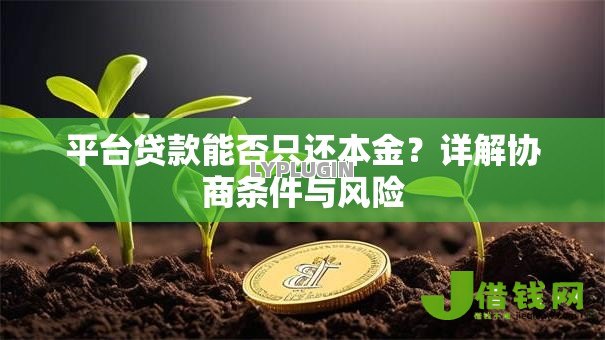 平台贷款能否只还本金？详解协商条件与风险